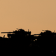 Illustration for article titled Turkey Sends Troops And Armor Into Iraq Without Approval In Mysterious Move